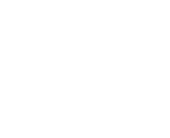 Que aporta PAE INTERVENCIÓN-Mar-11-2025-12-04-46-0363-PM